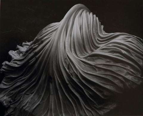 Cabbage-Leaf_EdwardWeston