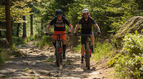 get to know the cube mountain bikes