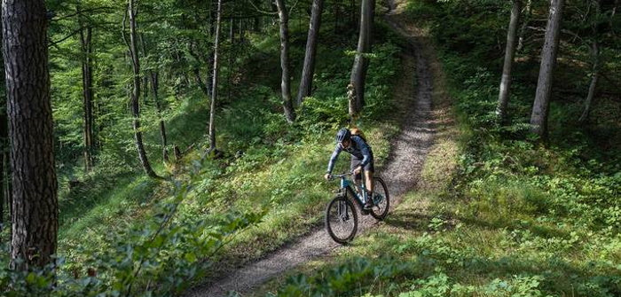 Choose the right electric mountain bike at 99 bikes