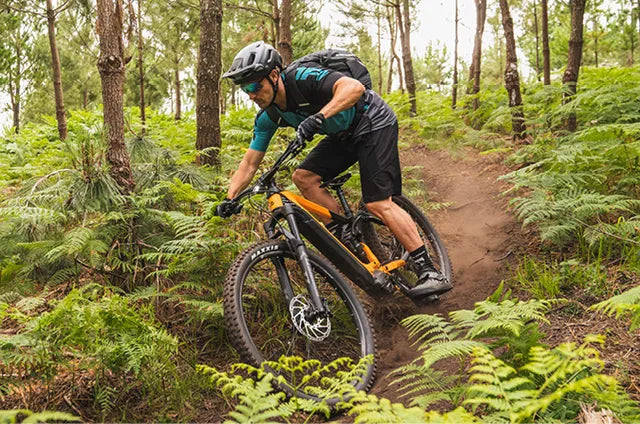 e-bike