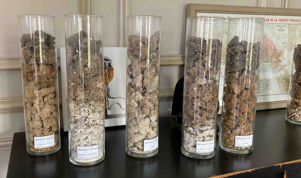 Soil samples at Henriette Bazin