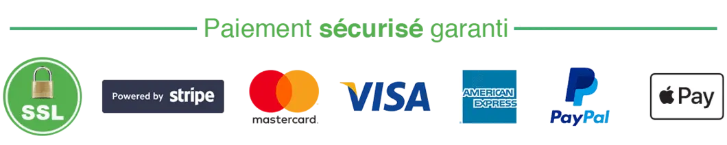 Liste des moyens de paiement sécurisés via Sripe : Mastercard, Visa, American Express, Paypal et Apple Pay