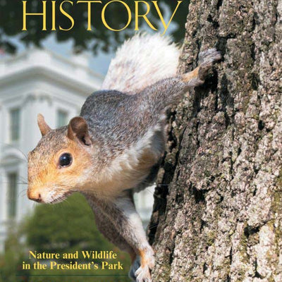 White House history book with squirrel on cover