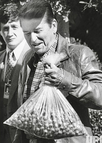 Ronald Reagan holding large bag of pecans