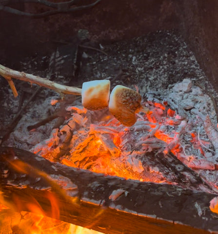 Roasting marshmallows over a campfire