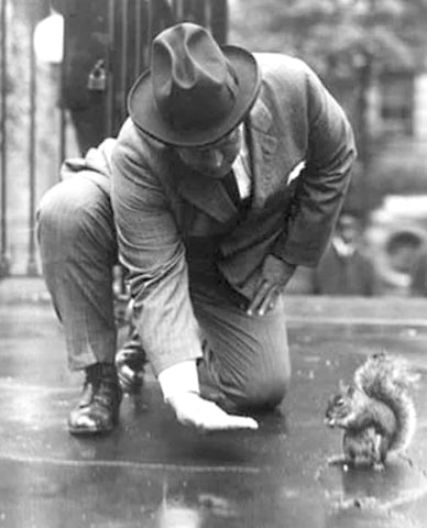 Black and white photo of person feeding nut to a squirrel on the ground