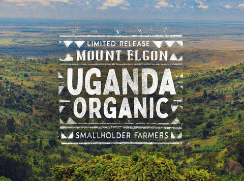Peet's small batch subscription series graphic of Mount Elgon Uganda Organic design against the background of a photo of Uganda