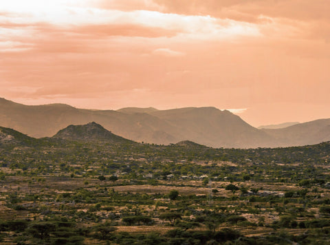 A landscape photograph of Ethiopian coffee farming terrain, where Peet's partners with non-profit TechnoServe to implement projects that help smallholder coffee farmers improve their products, agronomy, business skills, and quality of life