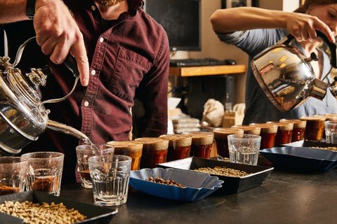 Pouring water over freshly roasted Peet's coffee grounds for a cupping in the Peet's cupping lab