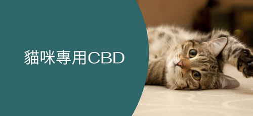 貓咪專用CBD