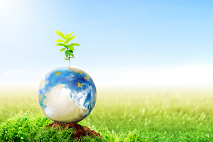 Saving energy at home helps the environmet - every day is Earth Day.