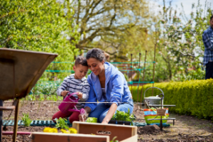 gardening helps you live a greener and healthier lifestyle