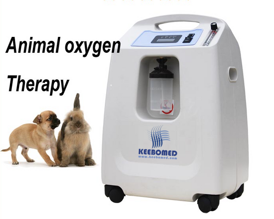 Oxygen Concentrator For Puppies