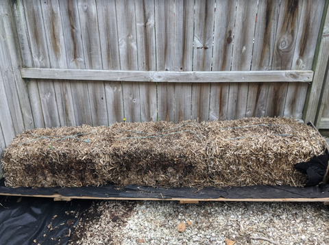 Straw Bale Gardening