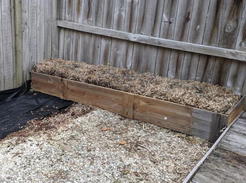 Straw Bale Gardening