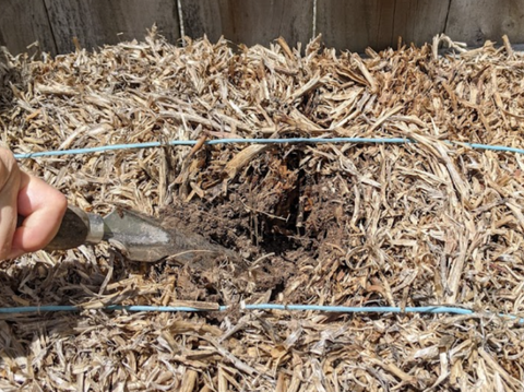 Straw Bale Gardening