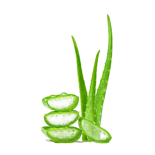 Aloe Vera Ingredient Image