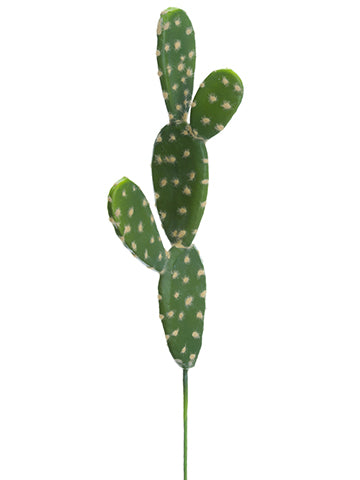 13.5" Soft Bunny Ear Cactus  Green (pack of 24)