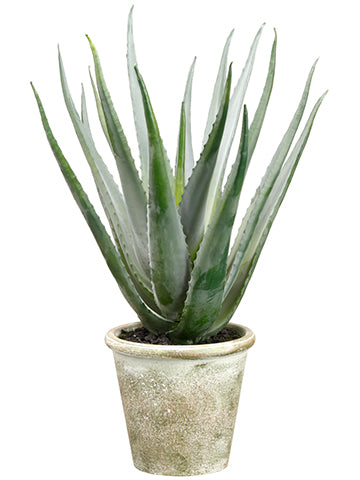 20" Agave in Paper Mache Pot  Green Gray (pack of 2)