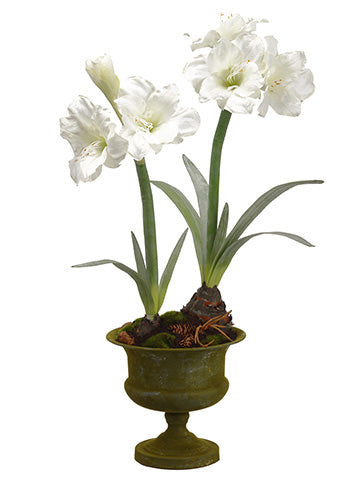 32"Hx12"Wx13"L Amaryllis in Metal Urn With Moss/Pine Cone White (pack of 4)