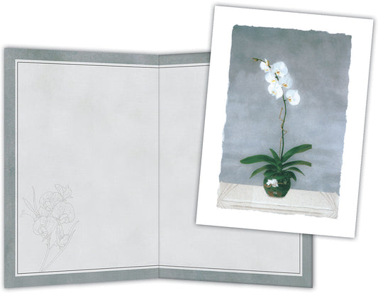 Delighted in the Light - Boxed Blank Note Cards -15 Cards & Envelopes