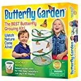 Let your kids raise some butterflies and discover wonders of nature with Butterfly Garden