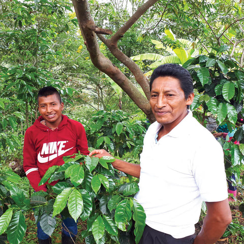 coffee farmers of Fondo Paez