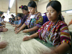 Sorting dry beans