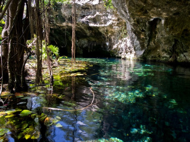 Gran-Cenote-one-of-several-entrances-to-the-Sistema-Sac-Actun-White-Cave-System