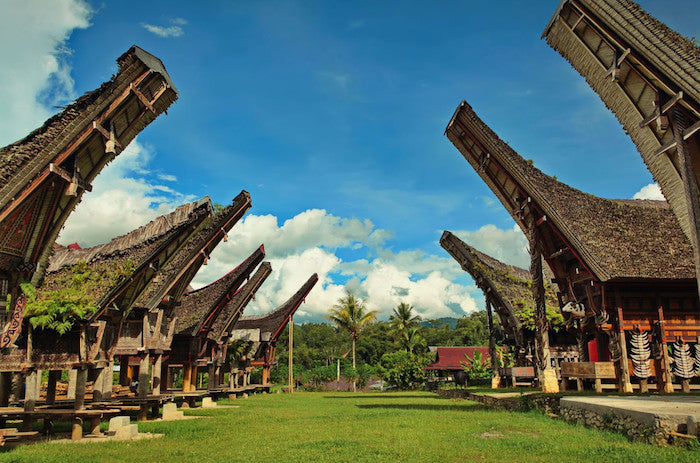 Learn The Culture Of Tana Toraja