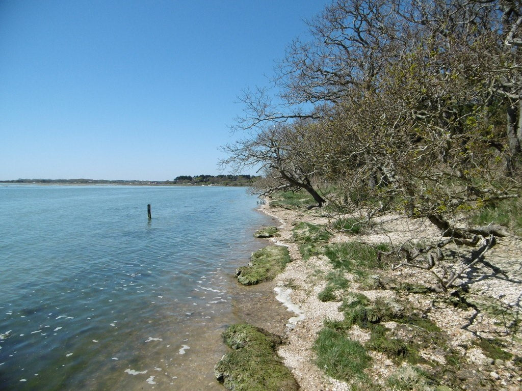 Lepe Beach Campsite, New Forest