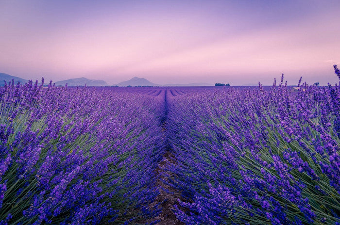 Provence