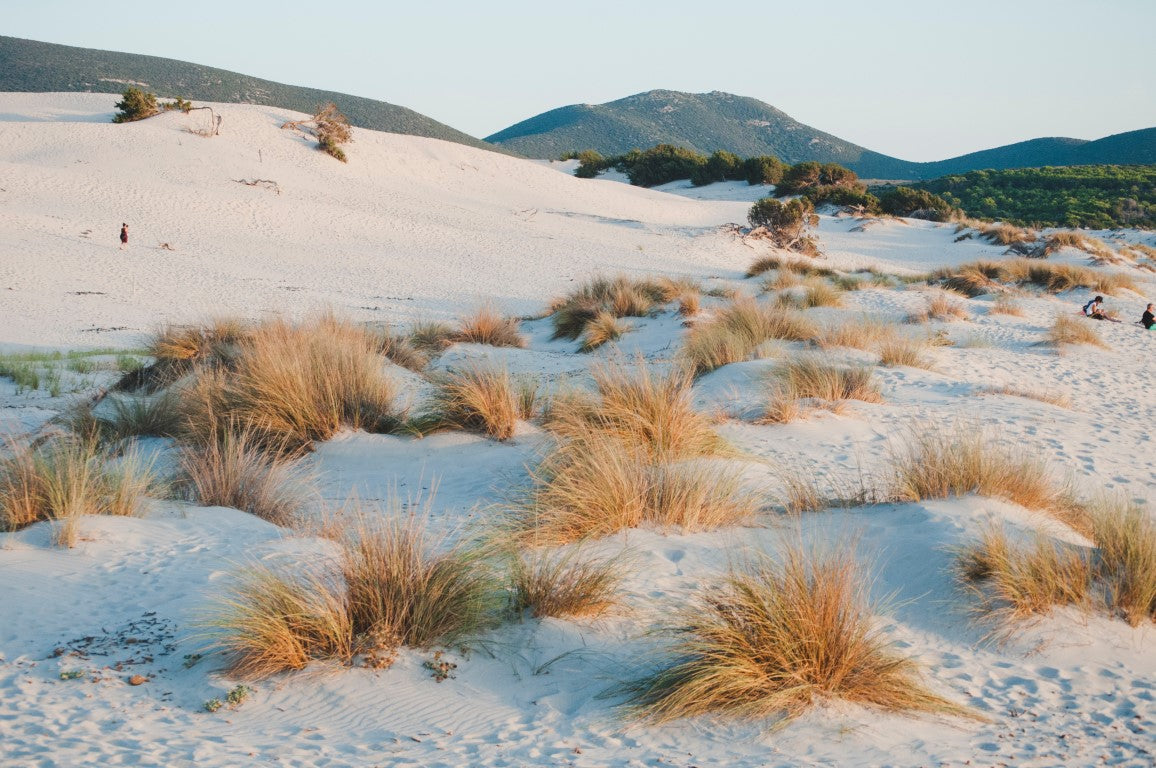 Sardinia