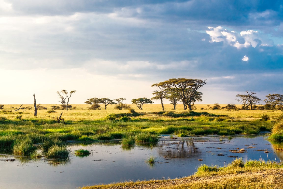 Serengeti-National-Park-Tanzania