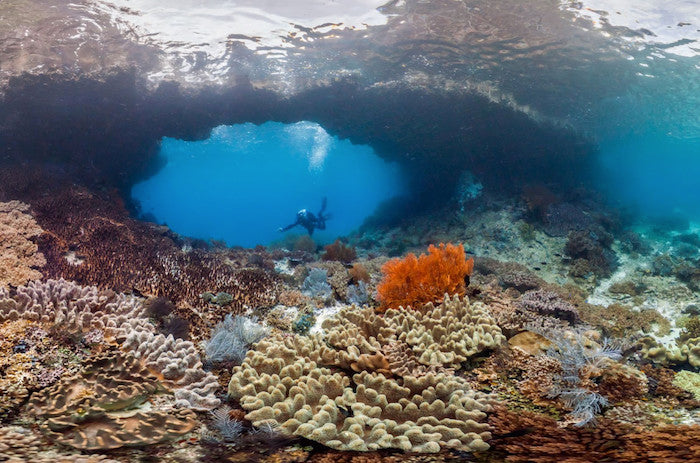 Swim In The Coral Islands At Raja Ampat