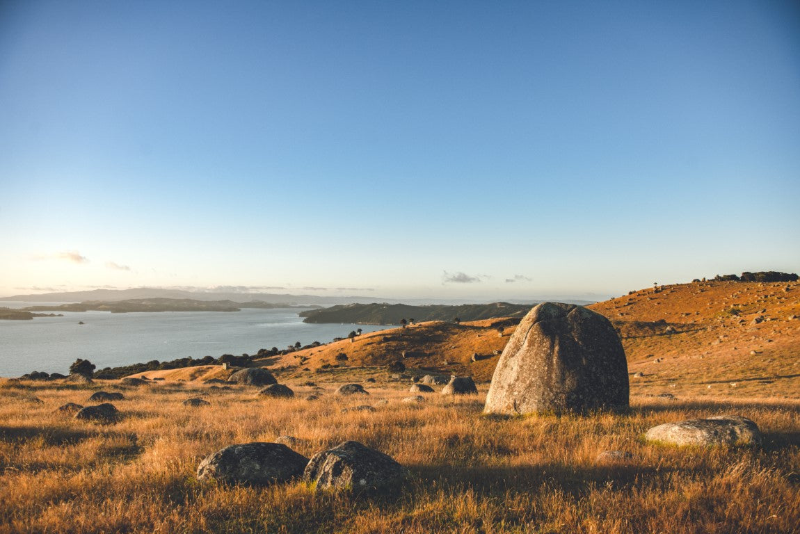 Waiheke