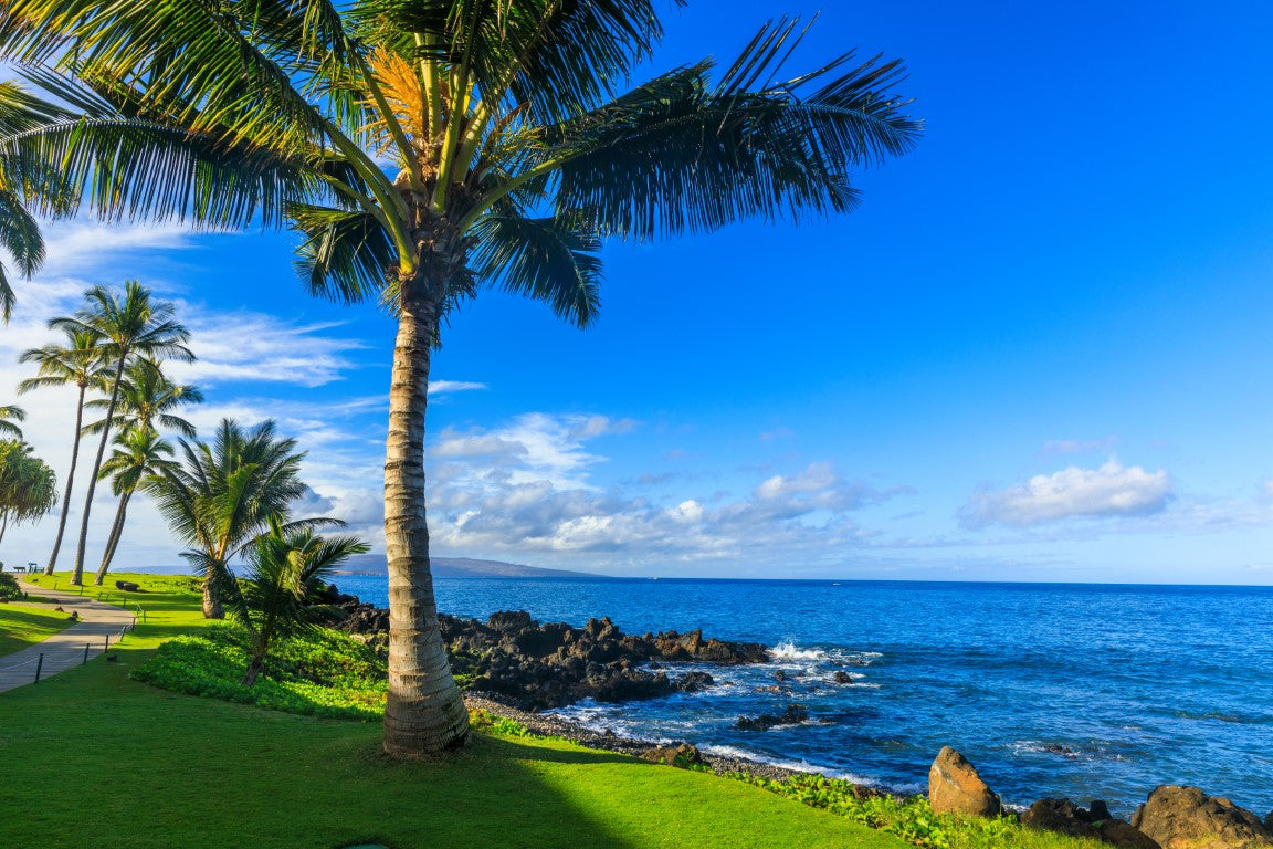 Wailea Beach