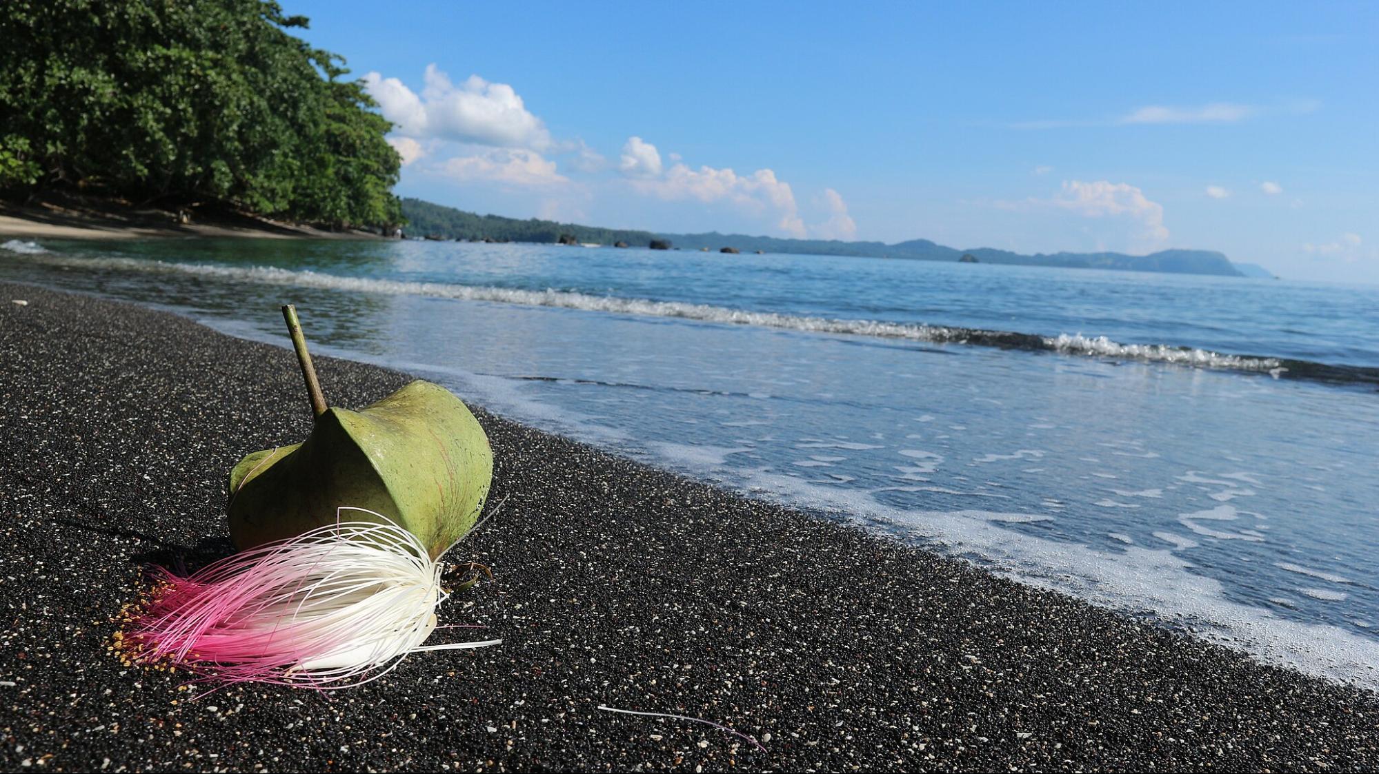 Best Black Sand Beaches in the World - CabinZero