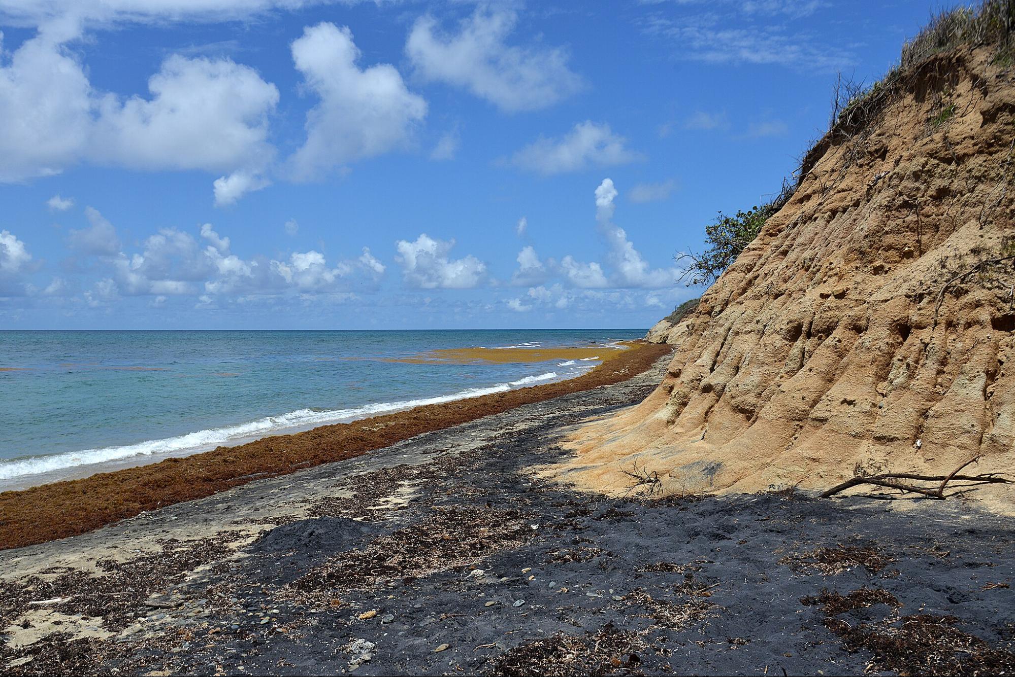 Best Black Sand Beaches in the World - CabinZero