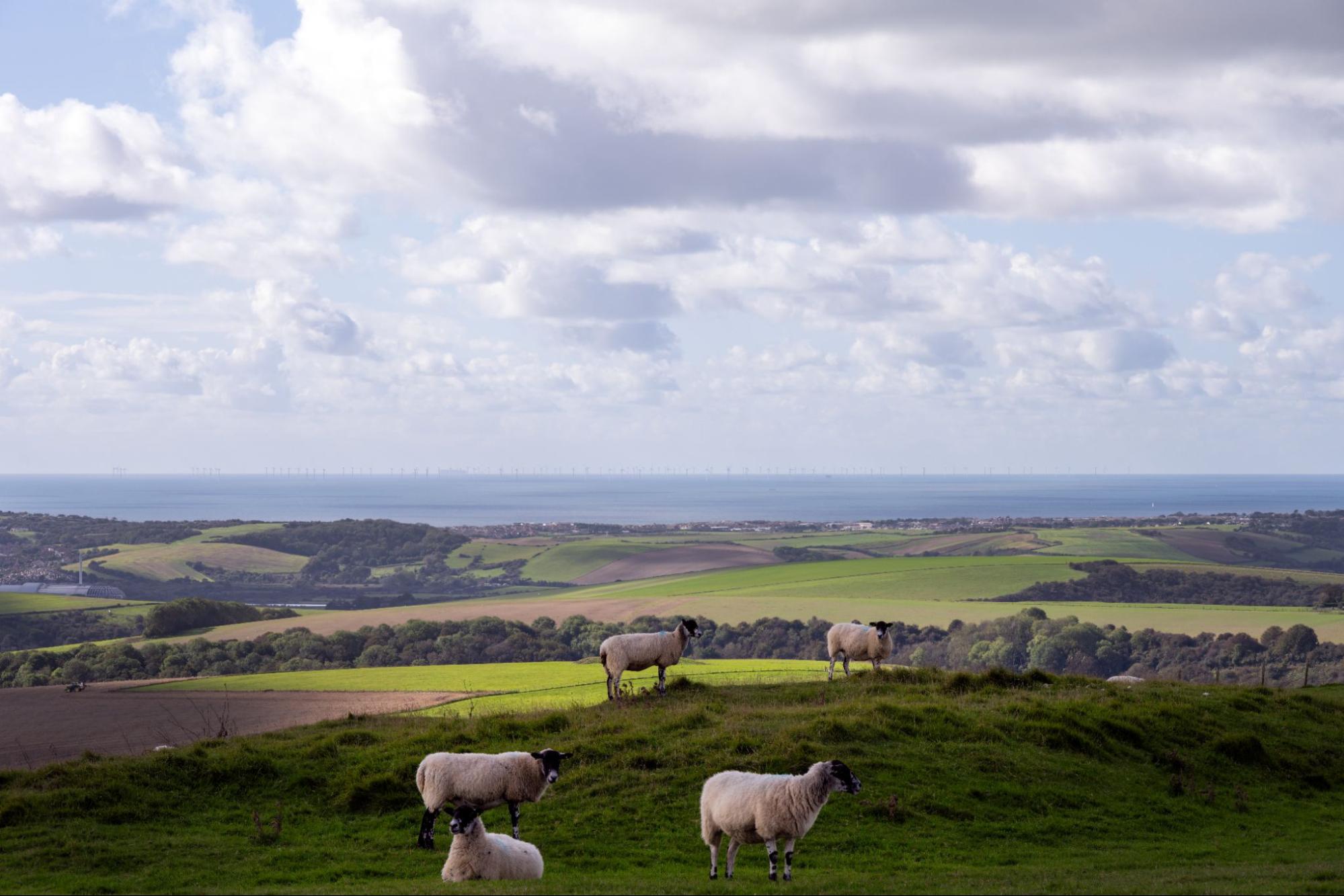 Day Hikes In England - CabinZero