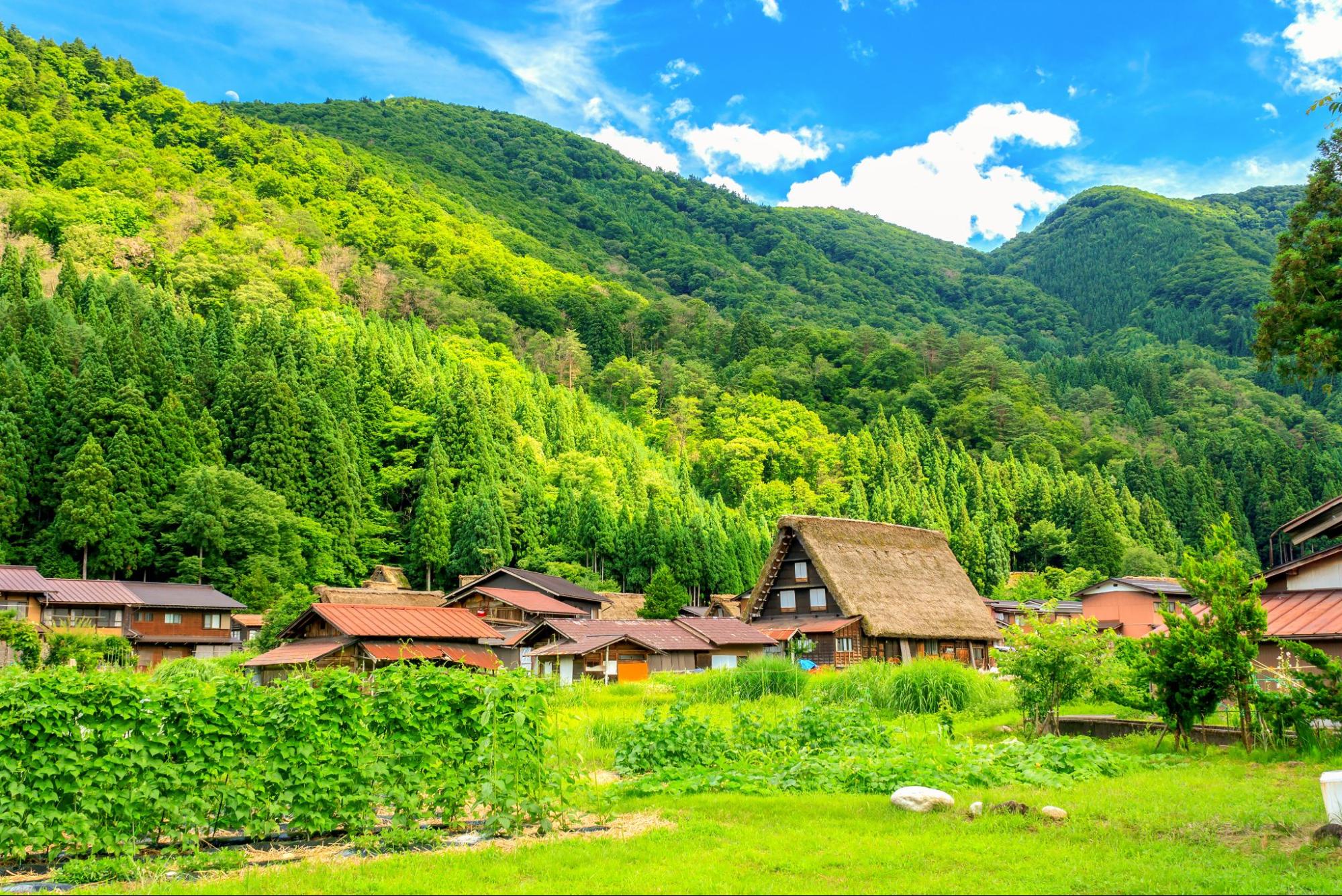 Best day hikes in Japan - CabinZero