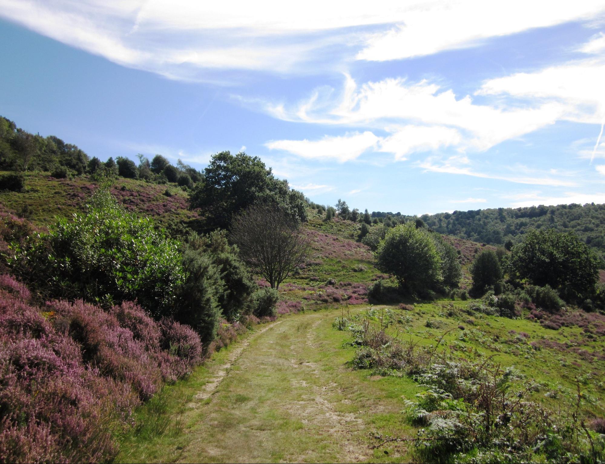 Day Hikes In England - CabinZero