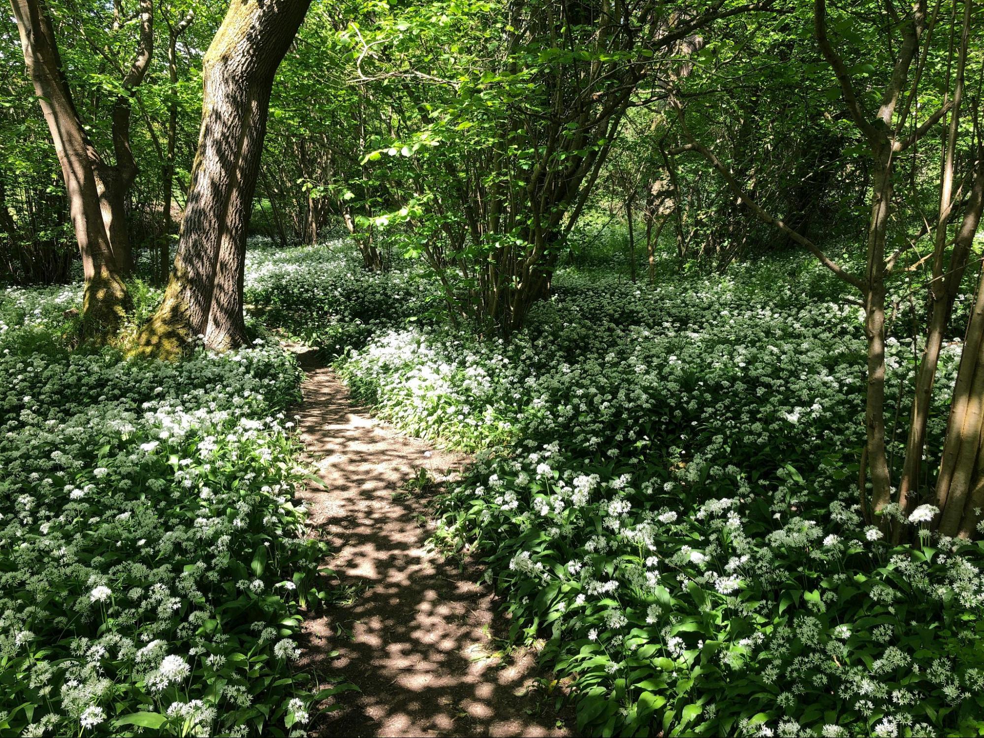 Day Hikes In England - CabinZero