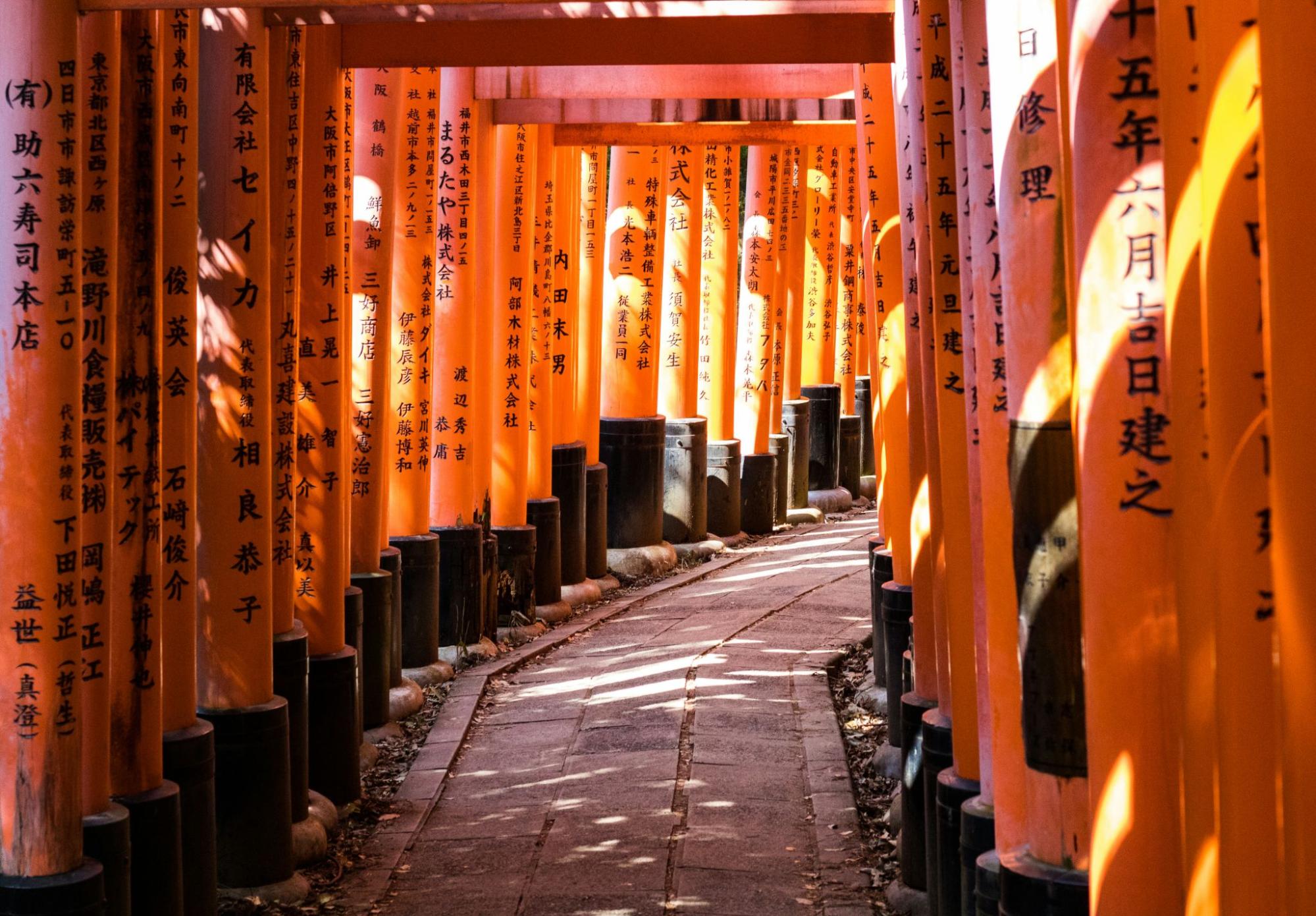 Best day hikes in Japan - CabinZero