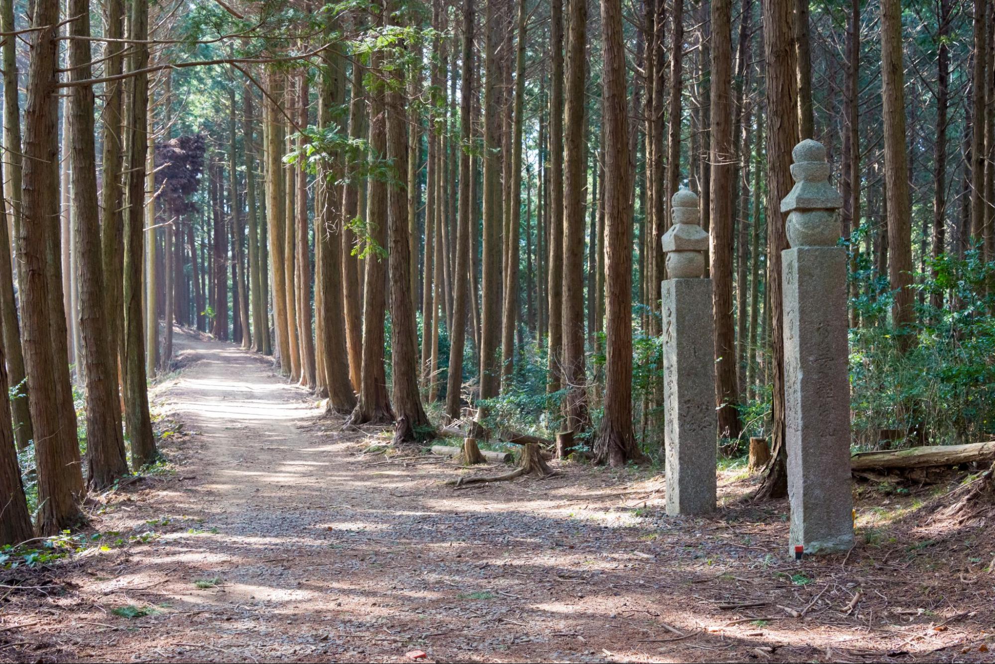 Best day hikes in Japan - CabinZero