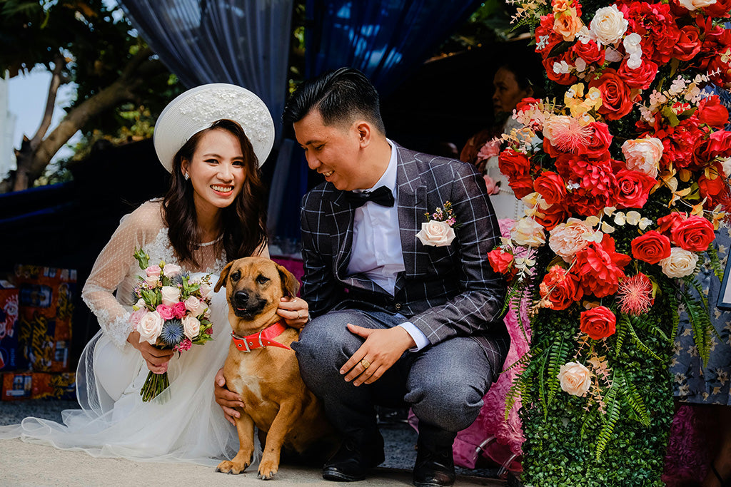 dog with bride and groom