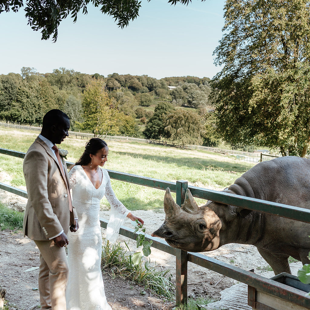 Safari wedding wildflife experience