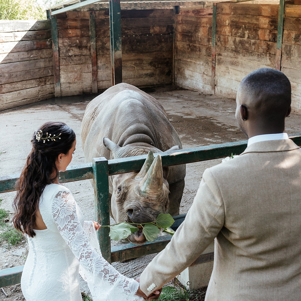 Safari wedding wildflife experience
