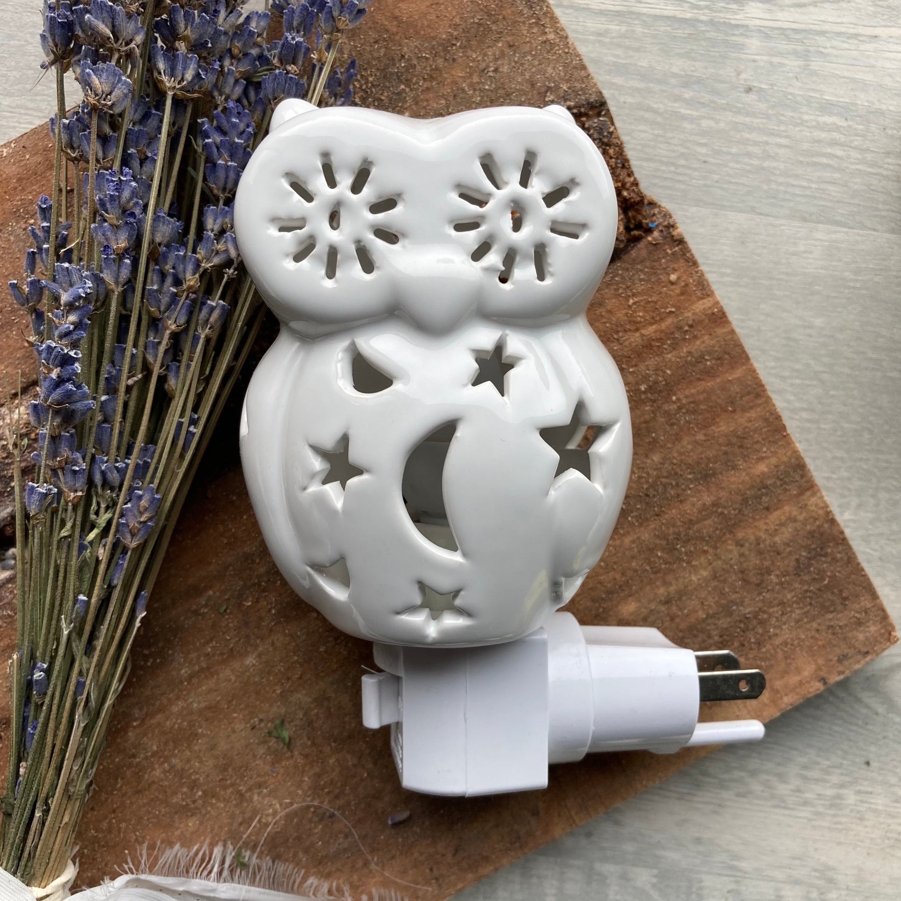 white owl night light