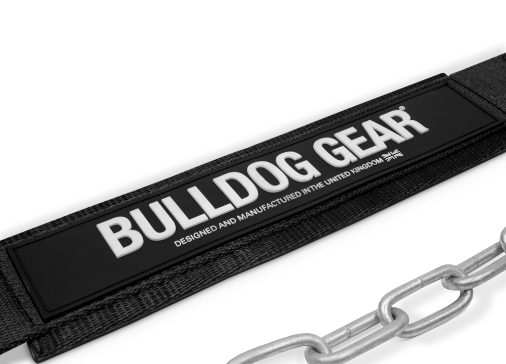 Bulldog Gear, Parallettes - Large